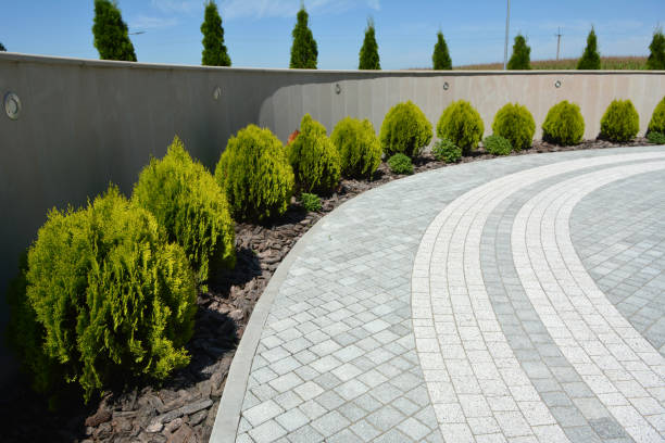 Reasons to Select Us for Your Driveway Paving Requirements in Lynchburg, VA